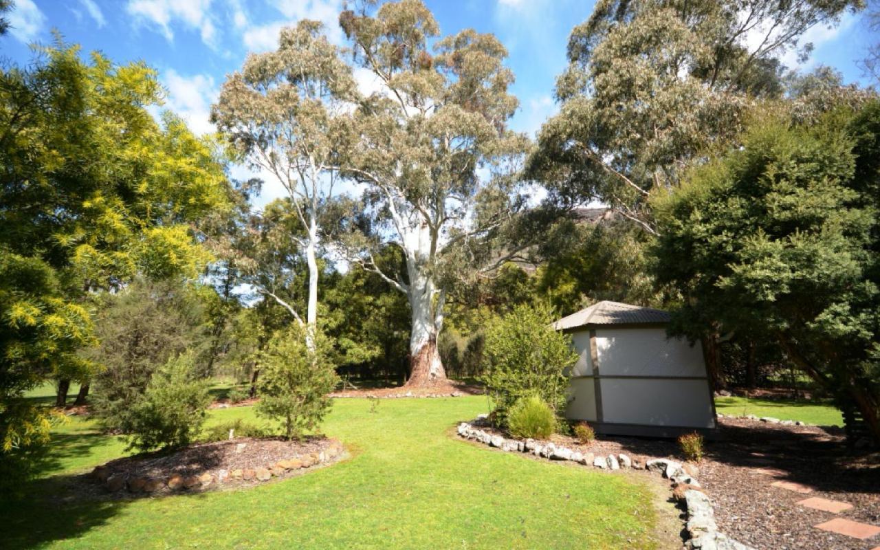 The Lodges Halls Gap Extérieur photo